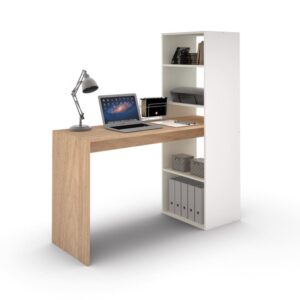 Escritorio Moderno Con Biblioteca