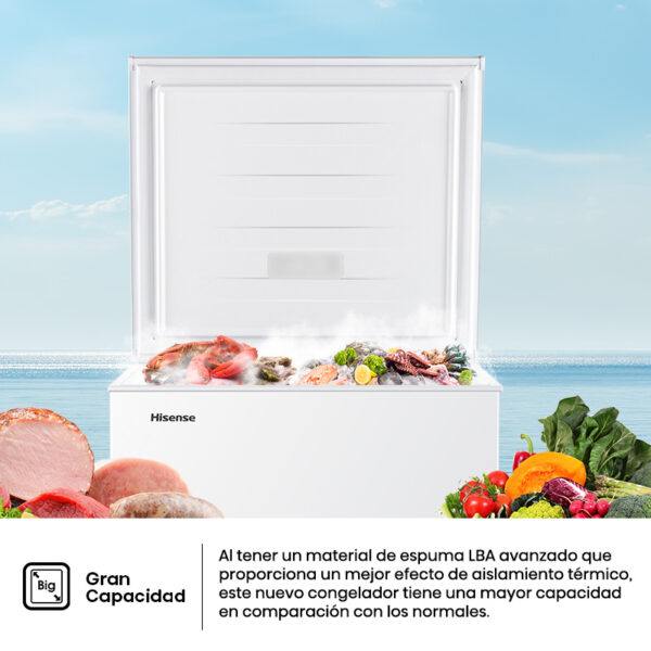 FREEZER DE POZO HISENSE 144L - Image 4